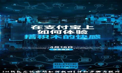 
IM钱包忘记密码如何找回？详细步骤与技巧