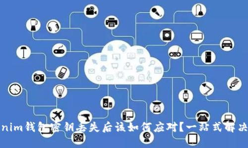 Tokenim钱包密钥丢失后该如何应对？一站式解决方案