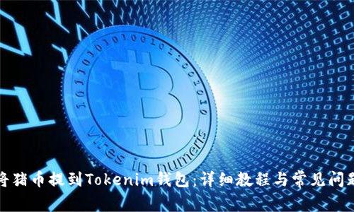 如何将猪币提到Tokenim钱包：详细教程与常见问题解答