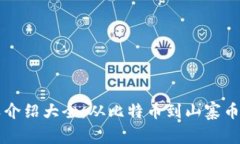 虚拟币种类介绍大全：从比特币到山寨币的全面