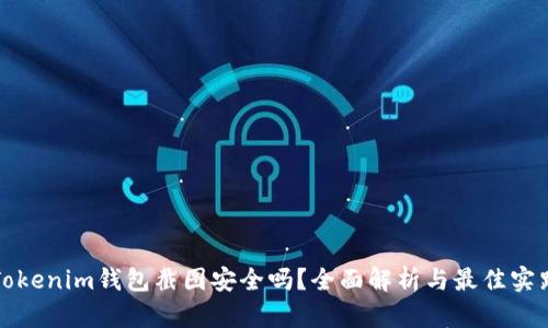 Tokenim钱包截图安全吗？全面解析与最佳实践