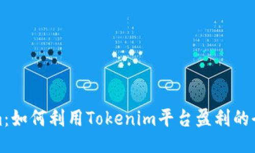 Tokenim：如何利用Tokenim平台盈利的全面指南