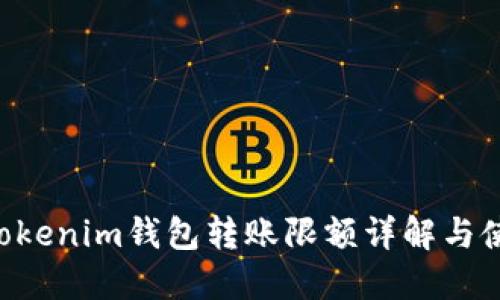 Tokentokenim钱包转账限额详解与使用技巧