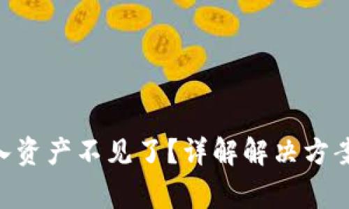 Tokenim导入资产不见了？详解解决方案与常见问题