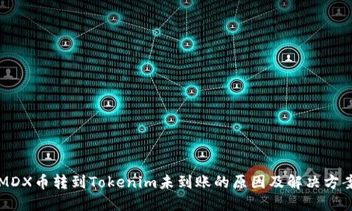 MDX币转到Tokenim未到账的原因及解决方案