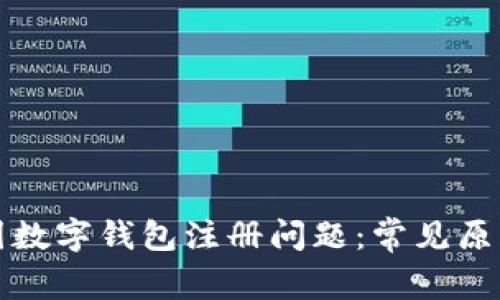 如何解决中国数字钱包注册问题：常见原因及解决方案