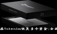 如何在Tokenim恢复多个资金