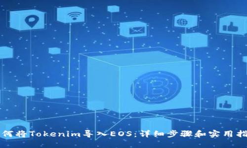 如何将Tokenim导入EOS：详细步骤和实用指南
