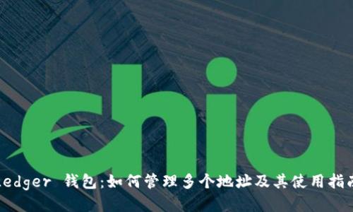 Ledger 钱包：如何管理多个地址及其使用指南