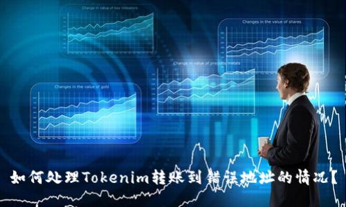 如何处理Tokenim转账到错误地址的情况？