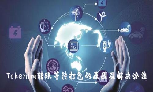 Tokenim转账等待打包的原因及解决办法
