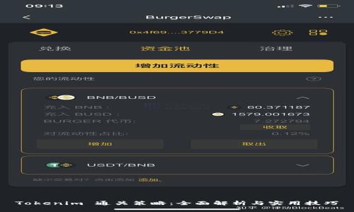 Tokenim 通关策略：全面解析与实用技巧