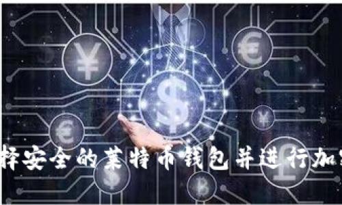 如何选择安全的莱特币钱包并进行加密保护？