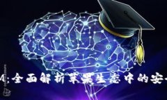 苹果TokenIM：全面解析苹果