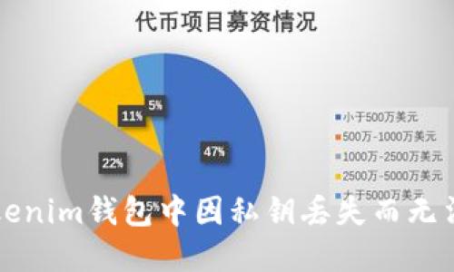 如何找回Tokenim钱包中因私钥丢失而无法访问的资产