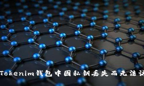 如何找回Tokenim钱包中因私钥丢失而无法访问的资产