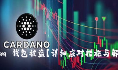 Tokenim 钱包被盗？详细应对措施与解决方案