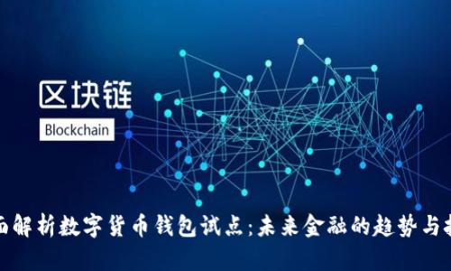 全面解析数字货币钱包试点：未来金融的趋势与挑战