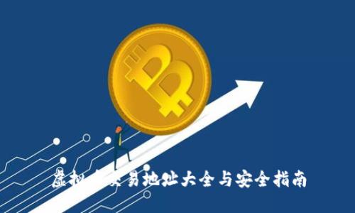 虚拟币交易地址大全与安全指南