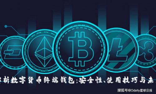 全面解析数字货币终端钱包：安全性、使用技巧与未来发展