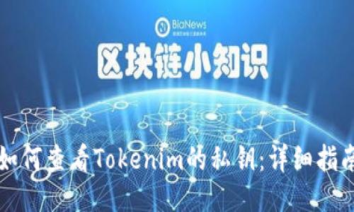如何查看Tokenim的私钥：详细指南
