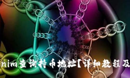 :
如何使用Tokenim查询持币地址？详细教程及常见问题解答