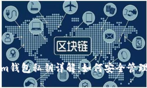 Tokenim钱包私钥详解：如何安全管理与使用