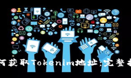 如何获取Tokenim地址：完整指南