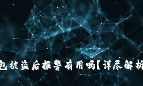 Tokenim钱包被盗后报警有用吗？详尽解析与用户指南