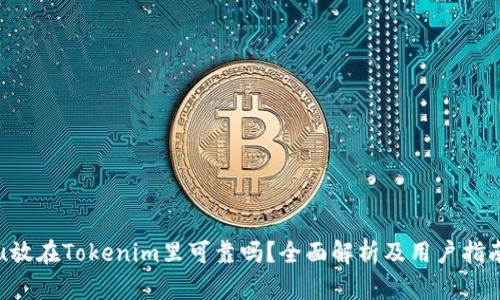 u放在Tokenim里可靠吗？全面解析及用户指南