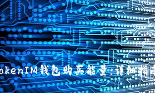 如何通过TokenTokenIM钱包购买能量：详细指南与常见问题解答