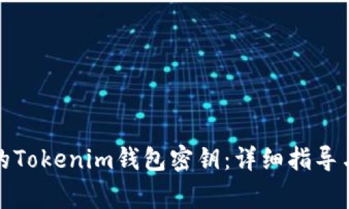 如何找回丢失的Tokenim钱包密钥：详细指导与常见问题解答