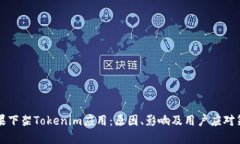 苹果下架Tokenim应用：原因