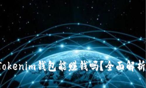 使用TokenTokenim钱包能赚钱吗？全面解析与投资策略