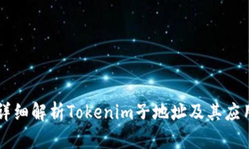 详细解析Tokenim子地址及其应用