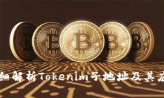 详细解析Tokenim子地址及其