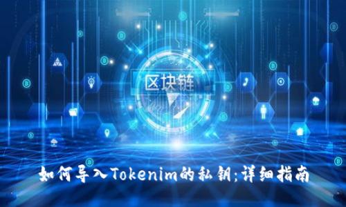 如何导入Tokenim的私钥：详细指南