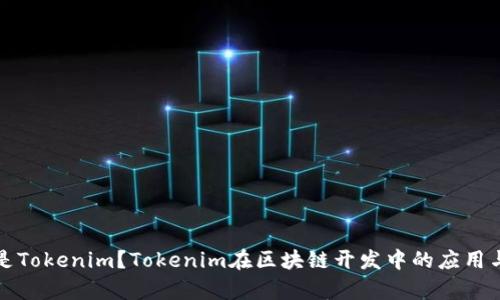 什么是Tokenim？Tokenim在区块链开发中的应用与前景