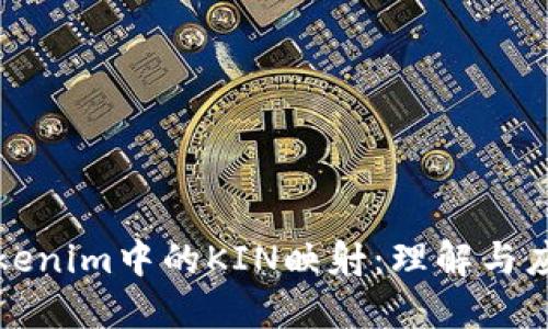 Tokenim中的KIN映射:理解与应用