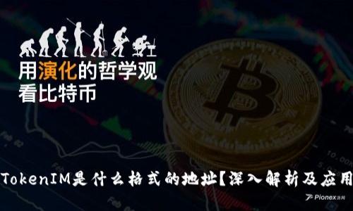 TokenIM是什么格式的地址？深入解析及应用