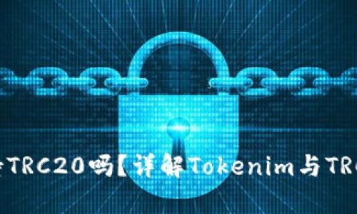 Tokenim支持TRC20吗？详解Tokenim与TRC20的兼容性