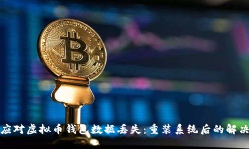 如何应对虚拟币钱包数据丢失：重装系统后的解决方案