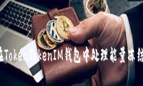 如何在TokenTokenIM钱包中处理能量冻结问题？