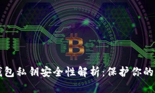 虚拟币钱包私钥安全性解析：保护你的数字资产