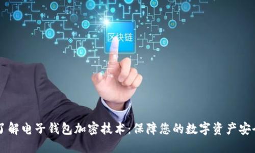 了解电子钱包加密技术：保障您的数字资产安全