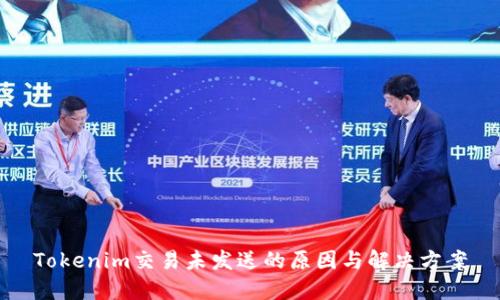 Tokenim交易未发送的原因与解决方案