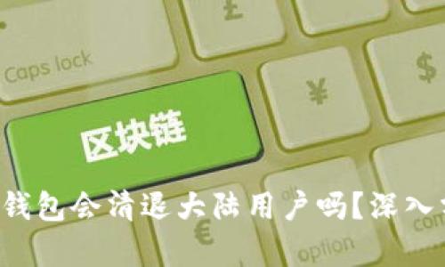 TokenTokenIM钱包会清退大陆用户吗？深入分析及未来展望