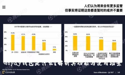 Gopay钱包是什么？解析其功能与使用场景