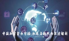 中国加密货币市场：机遇与挑战的深度解析