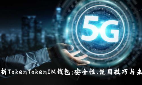 全面解析TokenTokenIM钱包：安全性、使用技巧与未来发展